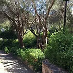 Bouganville * Porto Rotondo