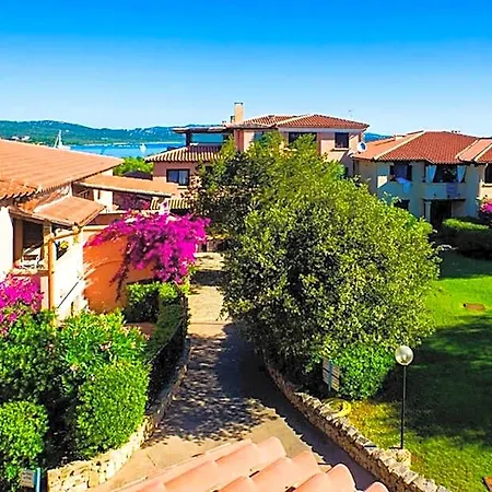 Bouganville