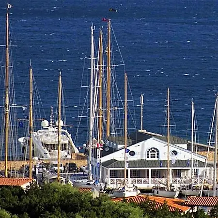 Bouganville *