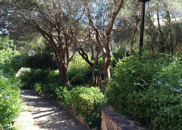 Bouganville * פורטו רוטונדו